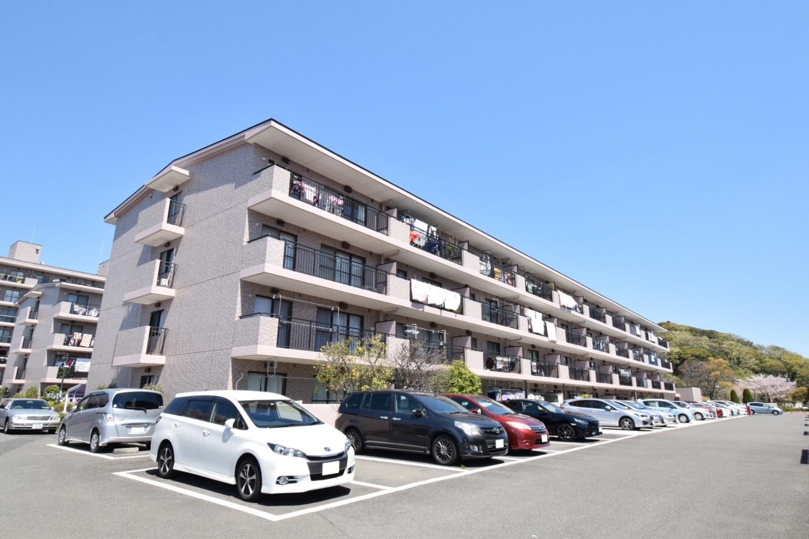 ニューシティ本郷台パークヒルズ