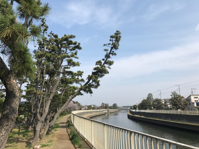 藤沢市鵠沼海岸４丁目